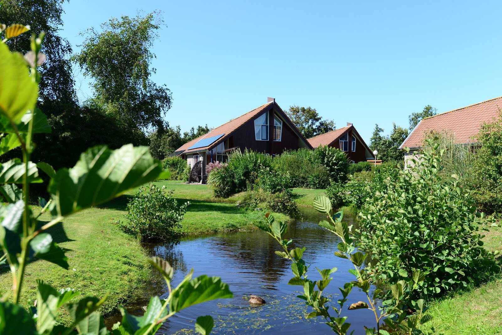 Vakantiehuizen aan een vijver op De Witteberg, Texel